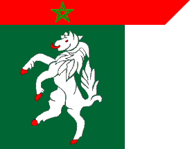 Agadir prov. flag