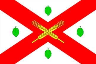 [flag of Donduşeni]