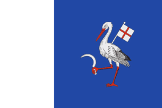 [flag of Teleneşti]