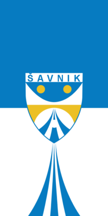 [Flag of Shavnik?]