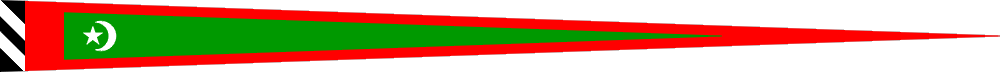 New Fort pennant