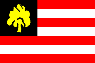['s-Hertogenbosch 1957 flag]