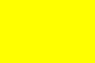 [Yellow Rescue brigade flag]