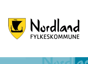 Flag of Nordland County Council