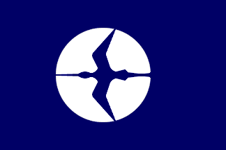 [House flag of National Airways Corporation]