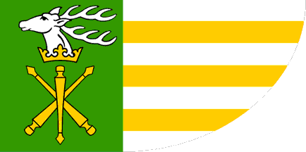 [Janów Lubelski county flag]