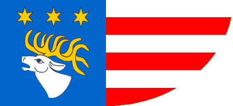 [Ryki county flag]