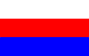 [Brzesko flag]
