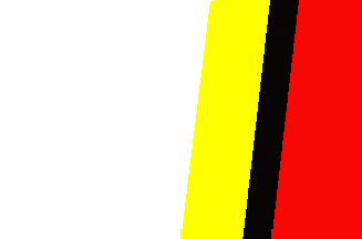 [Namyslów flag]