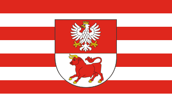 [new Bielsk Podlaski county flag]