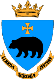 [Przemyśl City coat of arms]