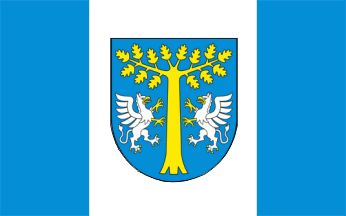 [Dębica rural district flag]