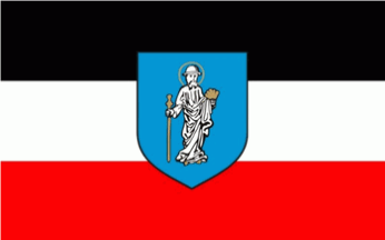 [Olsztyn city flag proposal]