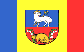 [Lidzbark Warminski county flag]