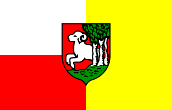 [Bojanowo flag]
