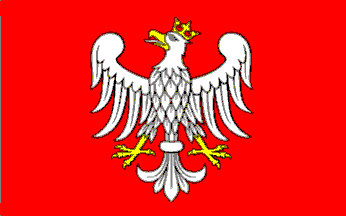 [Gniezno city ceremonial flag]