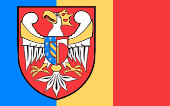 [Wagrowiec county official flag]