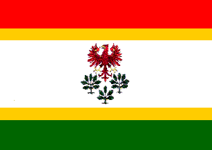 [Choszczno county flag]