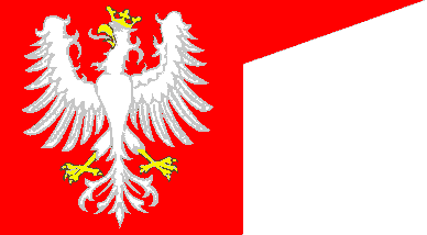 [Banner of Kazimierz Jagiellonczyk]
