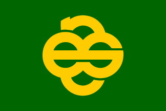 BES flag