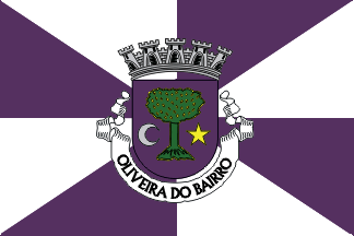 [Oliveira do Bairro municipality]
