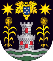 [Porto Moniz municipality CoA]