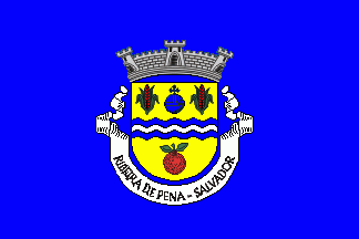 [Salvador (Ribeira de Pena) commune (until 2013)]