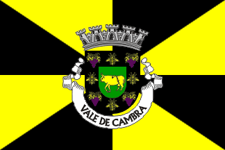 [Vale de Cambra municipality]
