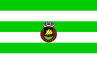 Rio Ave flag