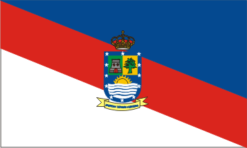 Concepción Department flag
