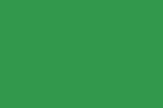 [Green flag]