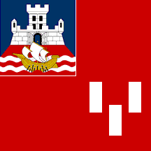[Flag of New Belgrade]