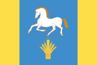 Flag of Ilishevsky District 