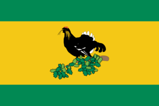 Flag of Kaltasinsky District