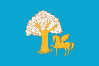 Flag of Kiginsky District