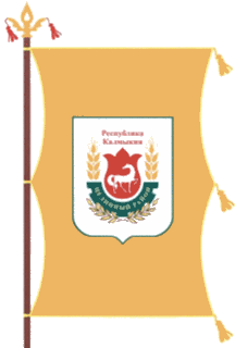 Flag of Tselinny District