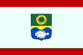 Zelenogradsk county flag