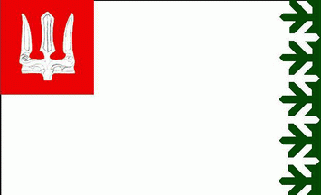 Flag of Volkhov co.