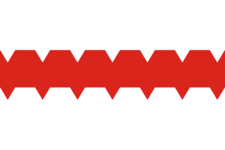Omsk city flag