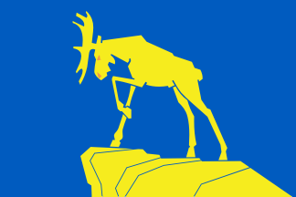 Magnitogorsk flag