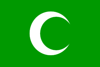1920 Chechen Flag
