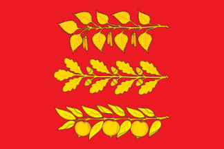 Flag of Sigachinskoe