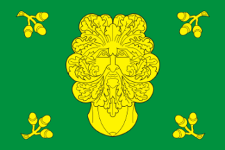 Flag of Yamashevskoe