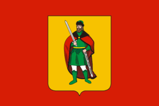 Flag of Ryazan’ city