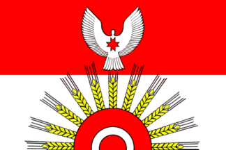 Flag of Kiyasovsky District