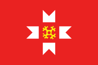 Flag of Mozhginsky District