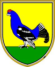 [Coat of arms of Kranjska Gora]