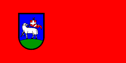 [Flag of Dravograd]