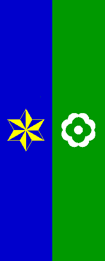 [Flag of Mislinja]