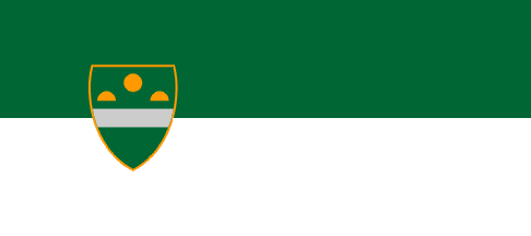 [Flag of Murska Sobota]